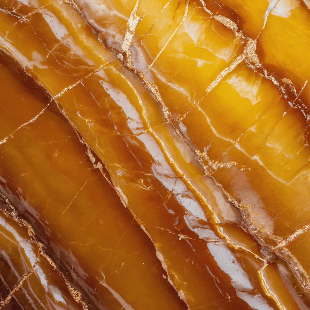 Enrollment & Success Management